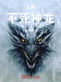 属鼠和属兔的人适合吗