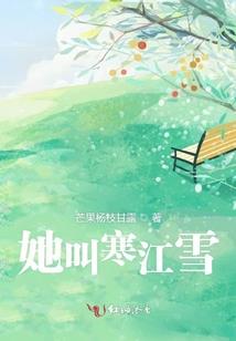 属猪幸运石头