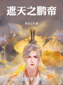 sandro网名