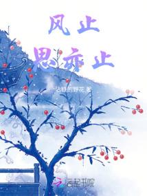 合金布艺手链属相