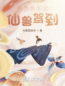 2019肖虎的运程