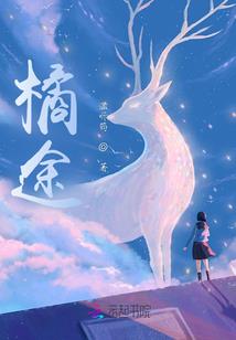 什么力是阳历