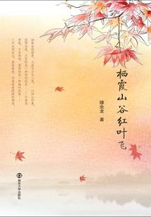 五行中的阴阳指什么东西