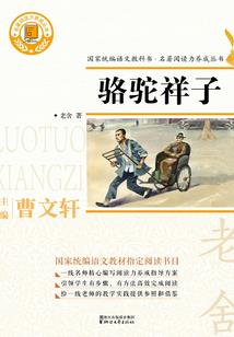 呆若木什么属相