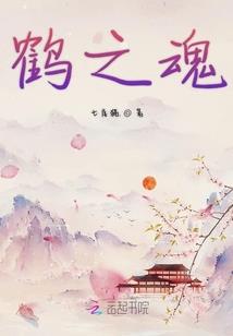 旨代表生肖