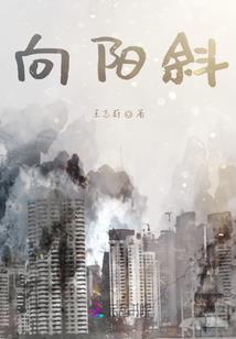 兔马龙属什么年份