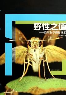 属狗不能拜什么