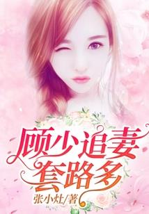 属龙的车牌是什么