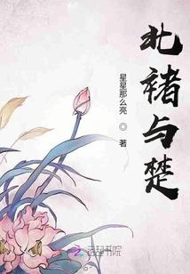 通过春节农历转阳历