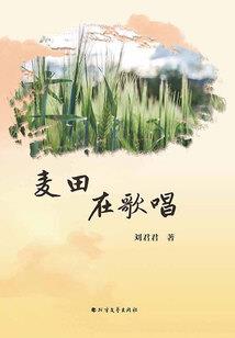 208年鼠各月运程