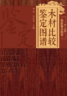 精致中国菜的含义