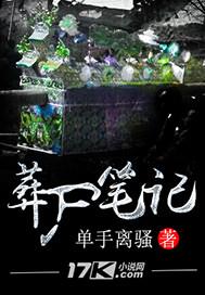 网飞的含义