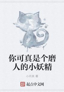 属兔皈依后的法名