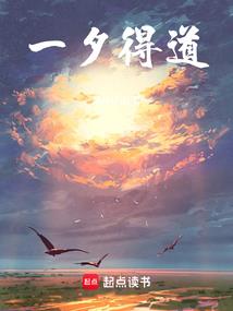 流月运势分析