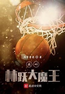 马属相硬金