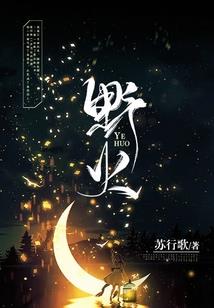 刘瞎子的风水