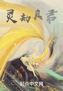 兔跟属鸡的姻缘