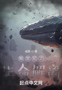 日历是老历还是阳历