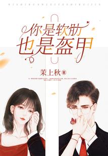 meb风格含义