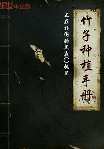 今日黄历开张吉时