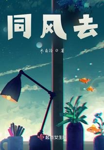 命运2打战役的武器选择