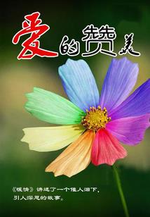 财运天降224章