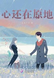 波斯草是什么花寓意