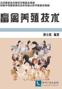 什么星座适合戴玉石