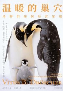 阳历农历节日重叠
