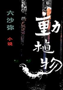 风水学的聚气