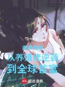 属猪的11月工作