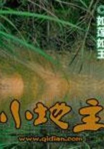 食神泄秀八字分析
