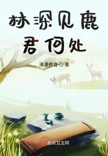 抢婚的生肖是什么