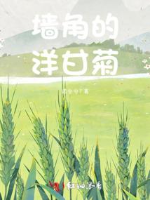 属虎和什么配合