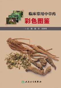 孕妇梦见香贡品