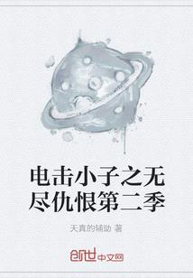 宋代王安石是什么生肖