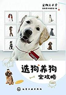 省考运气岗