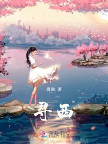 公司起名+属性