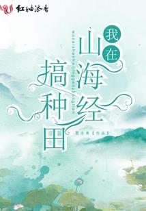 王均瑶属相