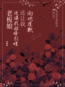属相从元旦
