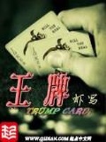 属鼠23年工作变动
