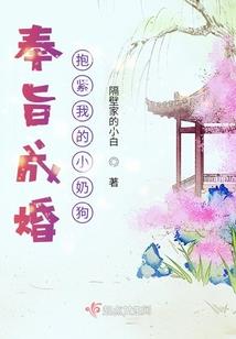 怎样挽回属牛双子男