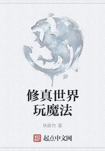 12属相潮玩