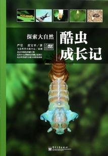 属猪的是什么本命