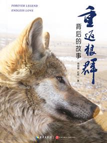 属龙几月富贵