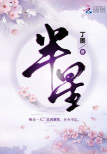 2009年的阴历多少天