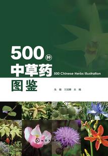郑伊洛名字的含义