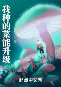 属兔女缺金木