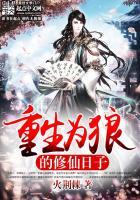 属龙2023穿衣