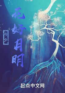 阴阳风水哪个象最好